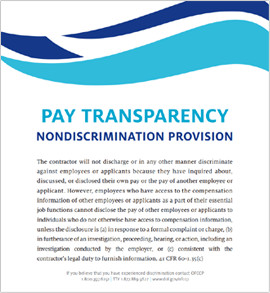 Download Pay Transparency graphic link
